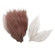 thumbnail image 4 of Set 100 Hojas de Esqueleto Magnolia Natural Fiocias Café, 4 of 5