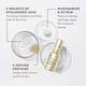 thumbnail image 3 of Sérum Dr. Dennis Gross DerminFusions Fill & Repair 30 ml, 3 of 8