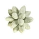 thumbnail image 4 of Throw Pillow Cojines Decorativos Para Dormir Cojines Divertidos Lovely Universal Para Sofá Verde, 4 of 5