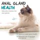 thumbnail image 3 of Suplemento Maxxiscoot Para La Salud Digestiva De Gatos 90 G, 3 of 9