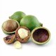 thumbnail image 4 of Aceite de Tamanu OPO 950 ml Puro prensado en frío 32 oz, 4 of 9