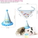 thumbnail image 2 of Bufanda de feliz cumpleaños para mascota, gato, perro y lindo sombrero de fiesta, sombrero de cumpleaños para niña y niño, conjunto de disfraces de fiesta de cumpleaños para mascota, 2 of 5