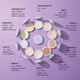 thumbnail image 5 of Polvo Compacto The Beauty Crop PoreFilter Tono Banana 10 mL, 5 of 7