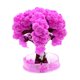 thumbnail image 3 of Kit De Cultivo De Cerezos En Papel: El árbol Crece En Horas Kit De Experimentos Científicos Para Hacer Uno Mismo, 3 of 5