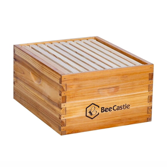 Caja de Cría Profunda Langstroth BeeCastle 41x50x24 cm 10 Marcos