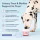 thumbnail image 2 of Suplemento para infecciones urinarias para perros Pawfy, arándanos y D-manosa, 30 masticables, 2 of 6