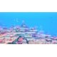 thumbnail image 4 of Dave The Diver [Edición de aniversario] (multilingüe), 4 of 9