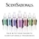 thumbnail image 3 of Ambientador enchufable Scentsationals Circle con 4 niveles, 3 of 8