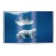 thumbnail image 4 of Libro teNeues Born to Ice, 4 of 5