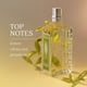 thumbnail image 2 of Perfume L'Occitane Verbena Eau de toilette en rollo, 10 ml, 2 of 3