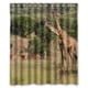 thumbnail image 1 of Cortina de ducha con diseño de antílope, jirafa, fauna africana, árboles, naturaleza, paisaje, con ganchos, tamaño 60 x 72 pulgadas, 1 of 3