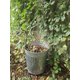 thumbnail image 4 of Behrens Cubo de Compostaje Exterior de Acero Galvanizado de 28.5L, 4 of 5
