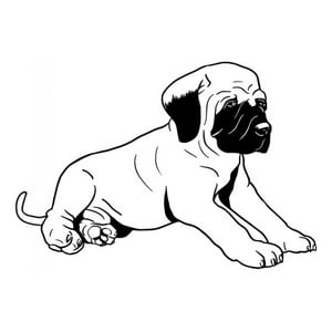 Rienda Libre Graphics - Decomural Bull Mastiff Puppy Pet Dogs Ws-34678