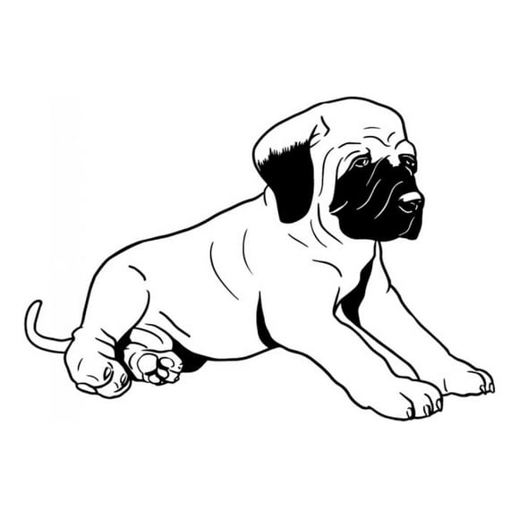 Decomural Bull Mastiff Puppy Pet Dogs WS-34678