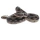 thumbnail image 1 of Figura De Juguete De Modelo Animal De Simulación, Figura Decorativa Para El Hogar, Boa Constrictor, 1 of 5