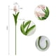 thumbnail image 2 of Flores artificiales que imitan a la naturaleza, tulipanes blancos, 20 x 34 cm, 2 of 7