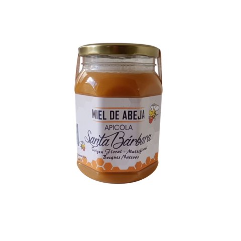 Apicola Santa Barbara - Miel De Abeja 1 Kg Multifloral