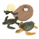 thumbnail image 3 of Simulación Animal Marino Ciclo De Vida De La Tortuga Juguetes De Aprendizaje Para Ni?os Tortuga Marina 2124, 3 of 5