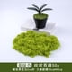 thumbnail image 1 of suxuMhao Musgo Artificial, Musgo Falso para Manualidades y Musgo para Plantas de Interior, 3 Packs de Musgo para Plantas (150G/0.33lb en Total, 50G/0.11lb por Paquete) - Relleno para Macetas para, 1 of 5