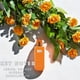 thumbnail image 2 of Perfume Fine Perfumery London Fragances, flor de azahar, 100 ml, 2 of 8