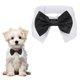 thumbnail image 1 of Uxcell Corbata de Moño para Perro, Corbata de Esmoquin con Collar Ajustable Collar de Mascota Lindo Corbata Elegante con Gancho y Bucle (Algodón, S, Negro), para Boda de Mascota, 1 of 7