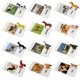 thumbnail image 1 of Farm Animal Toys Esoes con tarjetas didácticas, 12 juegos para niños, 1 of 6