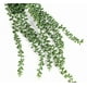 thumbnail image 3 of Planta suculenta colgante artificial 78 cm, 3 of 3