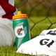 thumbnail image 4 of Botella De Agua Gator skin Con Aislamiento De 946 Ml Color Verde, 4 of 7