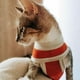 thumbnail image 4 of Body Castracion Unisex Con Cobre - Perro / Gato - Talla 7 (13 A 17kg), 4 of 4