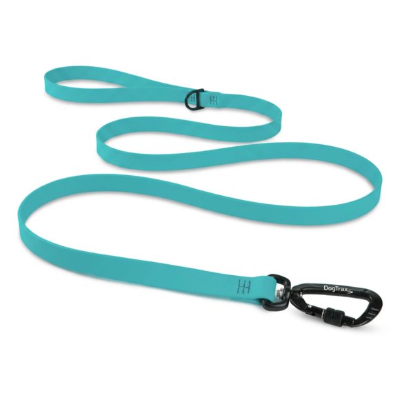 Correa DogTraxs 91 cm Biothane Verde Espuma 1,9 cm