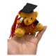 thumbnail image 3 of Pack 12 Ositos Surtidos Graduación Obsequio Regalo, 3 of 6