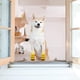 thumbnail image 3 of Calcetines antideslizantes para perros con refuerzo de goma, de punto, con suela de tracción y protector de patas para uso en interiores, 4 unidades, 3 of 8