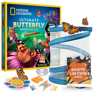 Blue Marble - Kit De Cultivo De Mariposas National Geographic Ultimate Con 5 Orugas