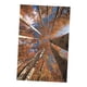 thumbnail image 1 of 1x tapices decorativos 3d tapiz colgante de pared diy para interiores n al aire libre, 1 of 3