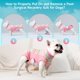 thumbnail image 5 of Traje De Recuperación Para Perro Transpirable Anti Lamido Posquirúrgico, 5 of 7