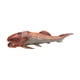 thumbnail image 1 of Figura De Dunkleosteus, Figura Realista De Animal Para Niños Mayores De 3 Años, Regalo De Cumpleaños De 1779, 1 of 5