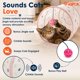 thumbnail image 5 of Túnel para Gato ASPCA Interactivo Plegable con Huellas de Pata, 5 of 7