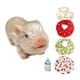 thumbnail image 1 of Juguete De Cerdo Renacido En Miniatura Divertido Para La Decoración Del Hogar Accesorios Para Fotos Regalo De Cumpleaños Estilo A, 1 of 5