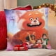 thumbnail image 4 of Red Fundas de almohada de terciopelo con tema, regalos de funda de almohada, decoración para el hogar, cojín de lanzar, regalo de cumpleaños para fans y parejas.40*40cm., 4 of 6