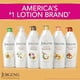 thumbnail image 3 of Loción Jergens Shea Butter 783ml Hidratación Profunda, 3 of 3