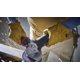thumbnail image 4 of Amoladora angular Bosch GWS14-50PBD 125 mm 13A 11000 rpm, 4 of 8