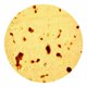 thumbnail image 4 of Flour Taco Throw Blanket Para Camping Casa Sofá Oficina Tortilla A 150cm, 4 of 5