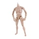 thumbnail image 5 of Modelo Masculino A Escala 1:6, Juguetes Corporales, Muñeca Flexible Desmontable Para Fotografía, 5 of 5