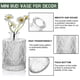 thumbnail image 4 of Set De Jarrones Bud De Vidrio Transparente 45 Jarrones Vintage Para Flores, 4 of 7