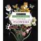 thumbnail image 1 of Pegatina de Number Brain Games Vintage Flowers (28 imágenes), 1 of 1