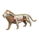 thumbnail image 3 of Modelo De Cuerpo Animal Para El Aprendizaje, Material Didáctico Para Niños Que Estudian En Casa (3108), 3 of 5
