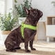 thumbnail image 3 of Arnés Petlounge Easy Glam Mascotas Perros Talla M verde, 3 of 8