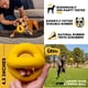 thumbnail image 5 of Bola Anular ® «indestructible» Para Perros De Razas Medianas Y Grandes, 5 of 8
