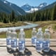 thumbnail image 2 of Pack agua pura De la Rivera 500cc x 12un, 2 of 6