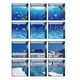 thumbnail image 2 of 12 unids 13x13 cm efecto 3d antideslizante impermeable pegatina ba?era peces pingüinos, 2 of 6